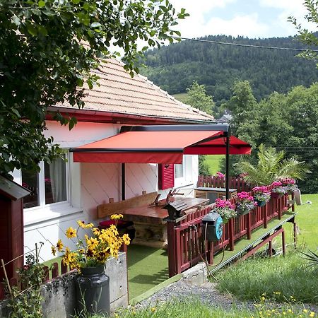 Gite Chez Mimie Breitenbach-Haut-Rhin Kültér fotó