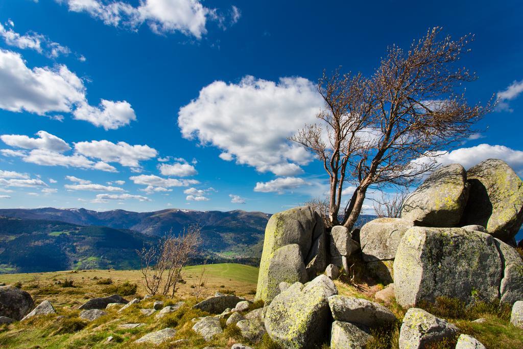 Gite Chez Mimie Breitenbach-Haut-Rhin Kültér fotó