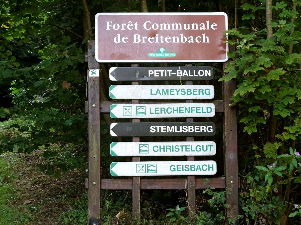 Gite Chez Mimie Breitenbach-Haut-Rhin Kültér fotó