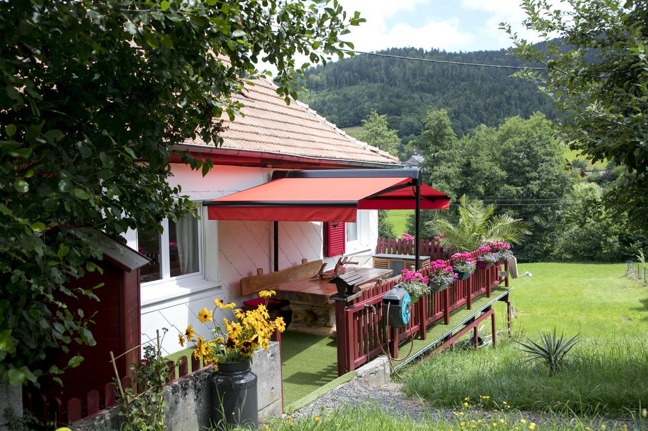 Gite Chez Mimie Breitenbach-Haut-Rhin Kültér fotó