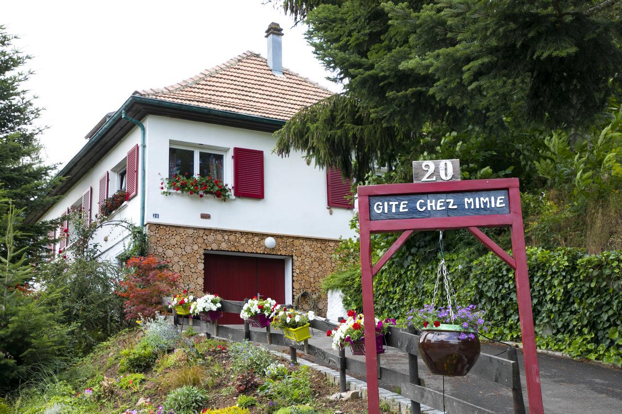 Gite Chez Mimie Breitenbach-Haut-Rhin Kültér fotó