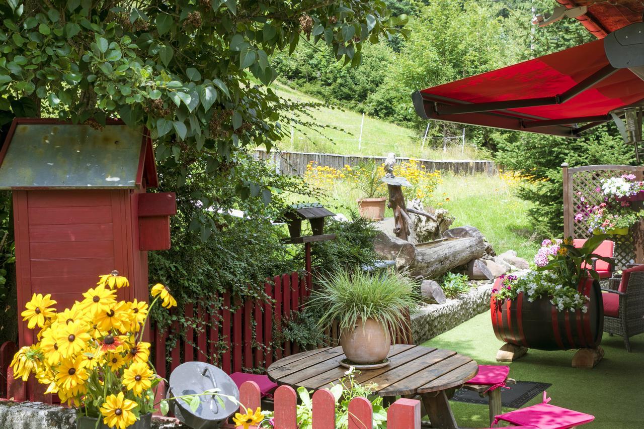 Gite Chez Mimie Breitenbach-Haut-Rhin Kültér fotó