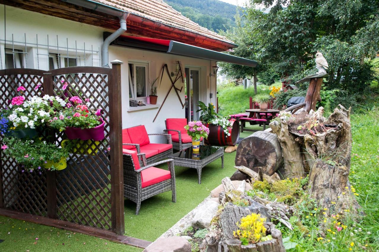 Gite Chez Mimie Breitenbach-Haut-Rhin Kültér fotó